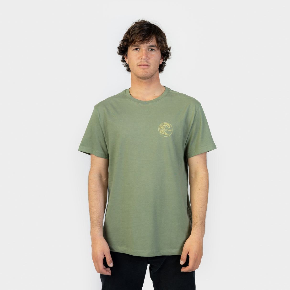 POLO M/C - O´RIGINALS HYBRID T-SHIRT AVERY FERN - VE26