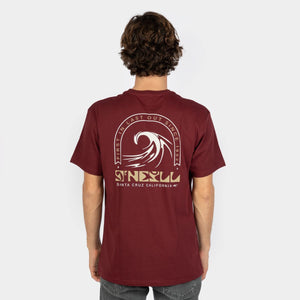 POLO M/C - DIPSEA T-SHIRT - WINDSOR WINE