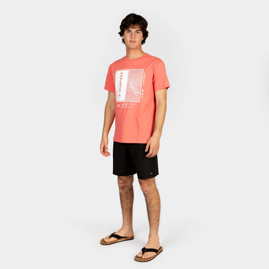 POLO M/C - THAYER T-SHIRT - GEORGIA PEACH - 3X119