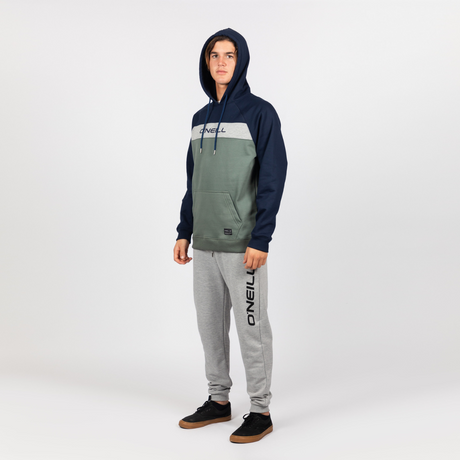 POLERON HOMBRE - DATEED ANORAK HOODY - AGAVE GREEN - IN87