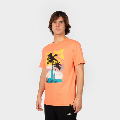 POLO M/C - JACK O'NEILL BACK PRINT T-SHIRT - LIVING CORAL - 2x119